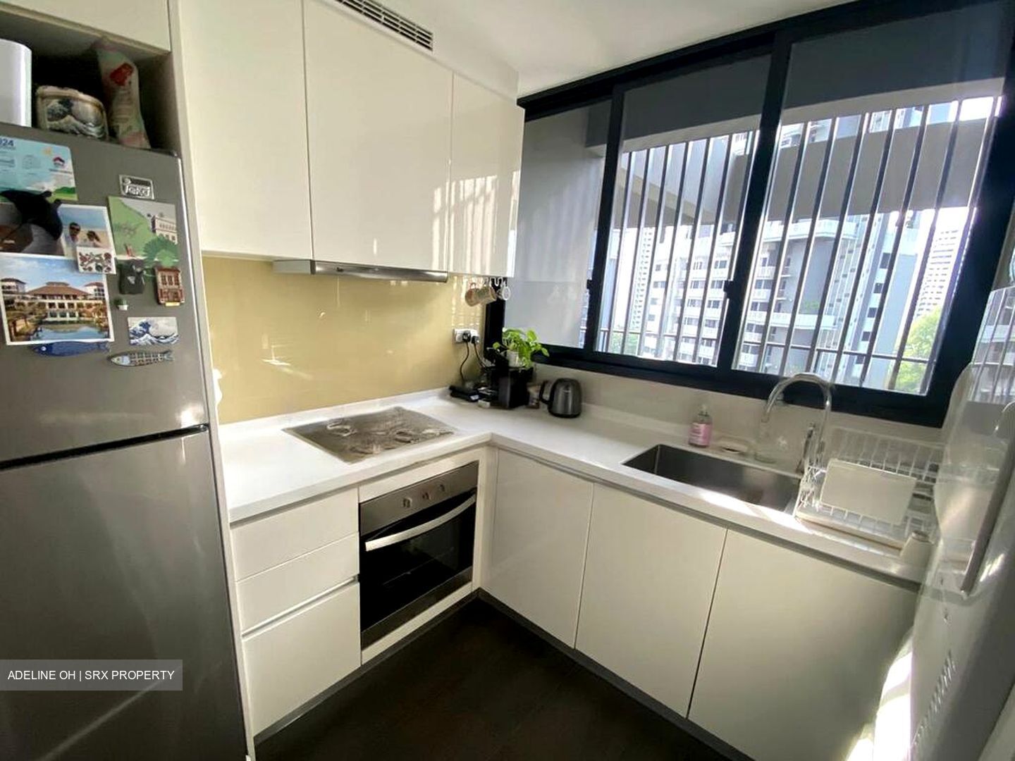 Spottiswoode Residences (D2), Condominium #584974651